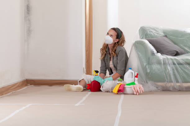Reliable Mold Inspection And Testing contractor in Greensboro, NC by Car Mold Remediation